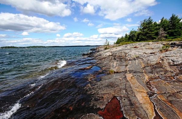 Wreck Island Shore IX by Deb Oppermann